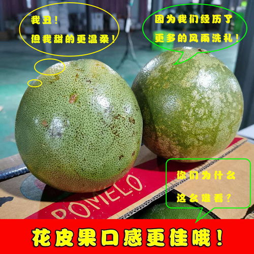 泰國青柚 白心金柚，當(dāng)季鮮果，享譽全球的熱帶特產(chǎn)