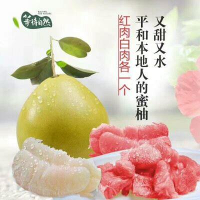 湖北宜昌秭歸縣柚子 沙田柚批發(fā)市場(chǎng)探析，0.60元/斤的價(jià)格優(yōu)勢(shì)與品質(zhì)保障