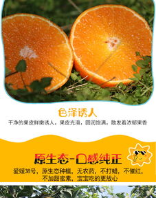 眉山愛媛38號(hào)果凍橙 自然鮮甜，孕媽首選的多規(guī)格柑橘批發(fā)佳品